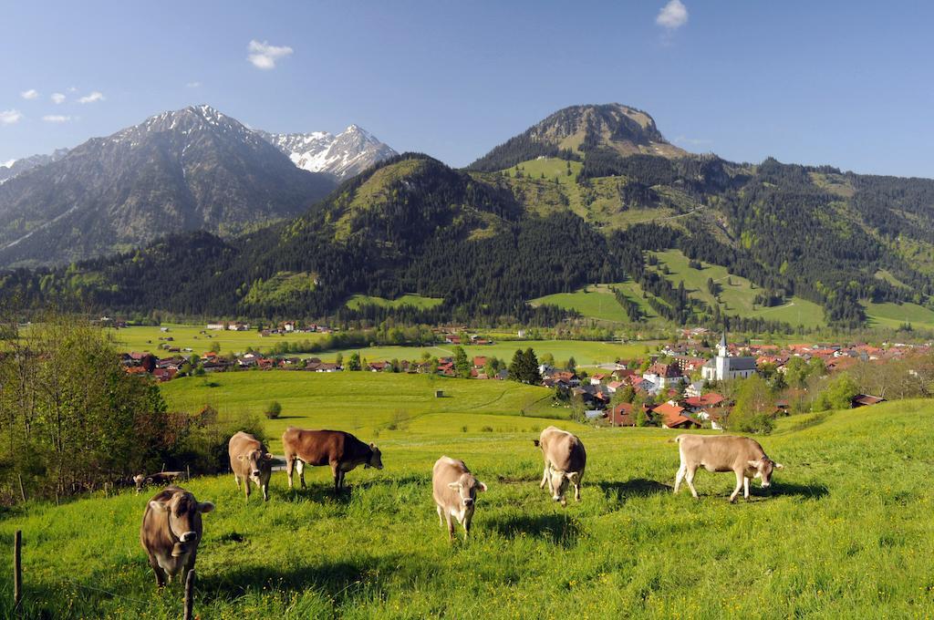 Hirschbachwinkel - Fewo-Badhindelang Bad Hindelang Exterior foto